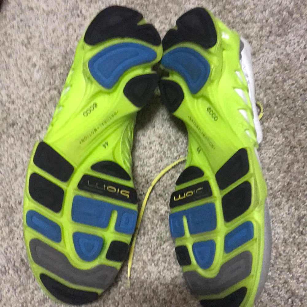 Ecco sneaks